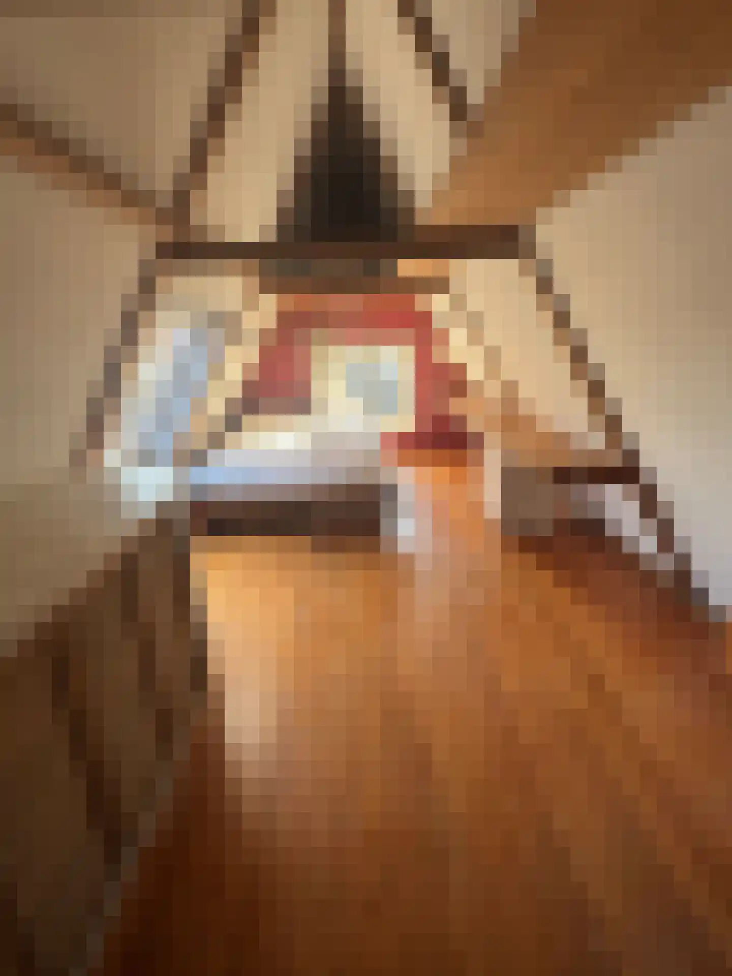 Brouwersgracht 813 Amsterdam thumbnail 22