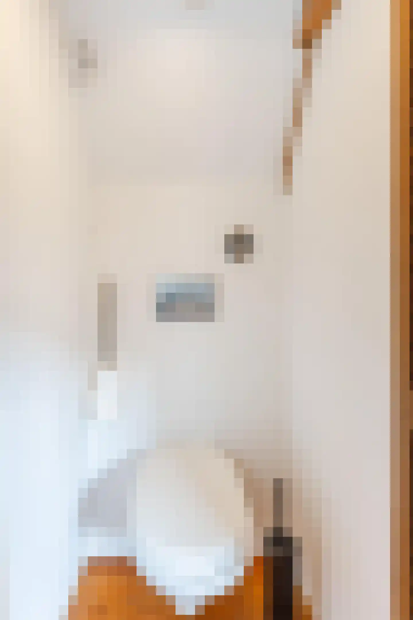 Brouwersgracht 813 Amsterdam thumbnail 27