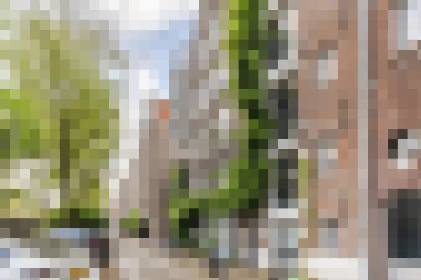 Brouwersgracht 813 Amsterdam thumbnail 29