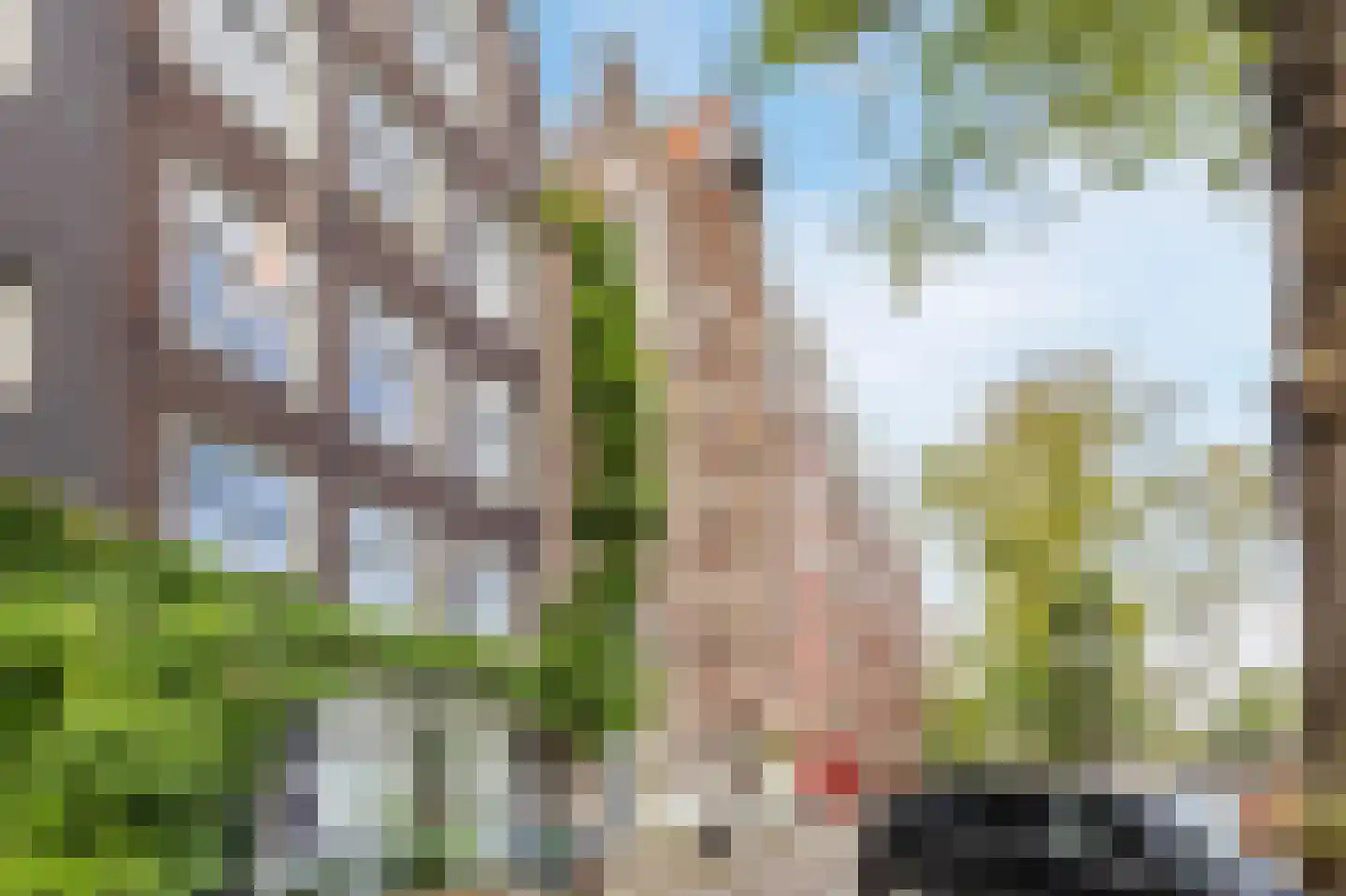 Brouwersgracht 813 Amsterdam thumbnail 30