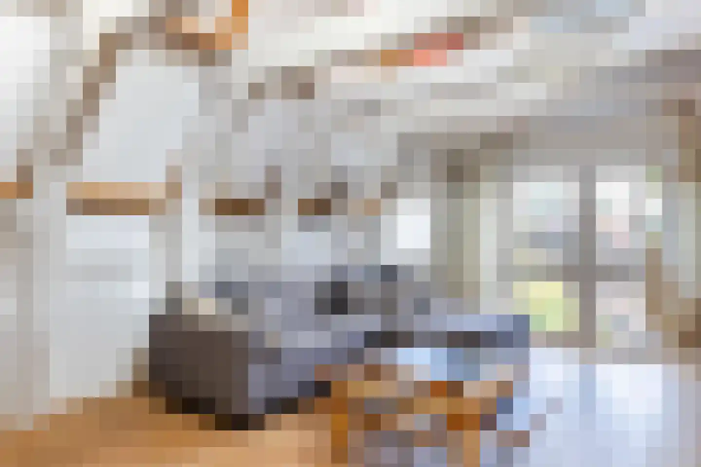 Brouwersgracht 813 Amsterdam thumbnail 5