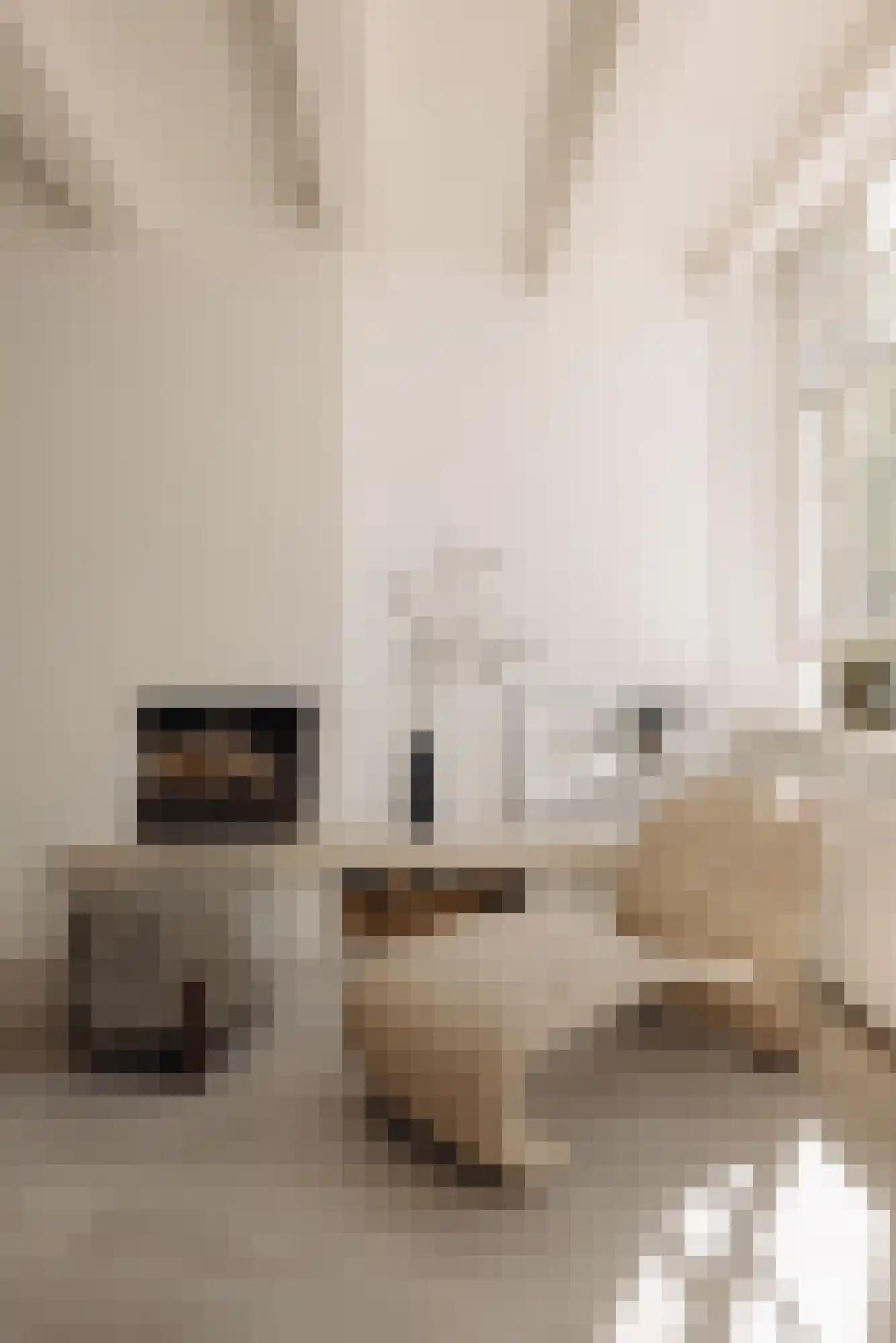 Brouwersgracht 96 1 Amsterdam thumbnail 13