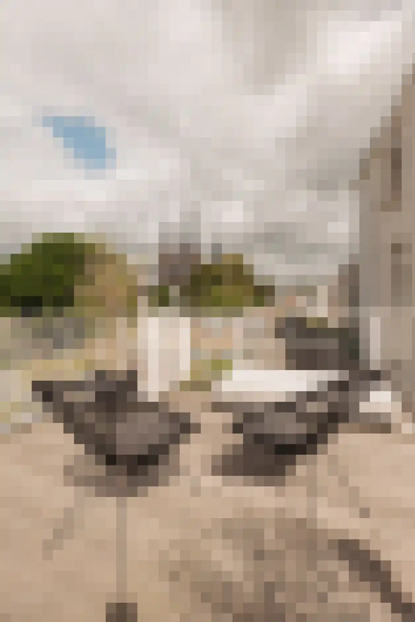 Brouwersgracht 96 1 Amsterdam thumbnail 27
