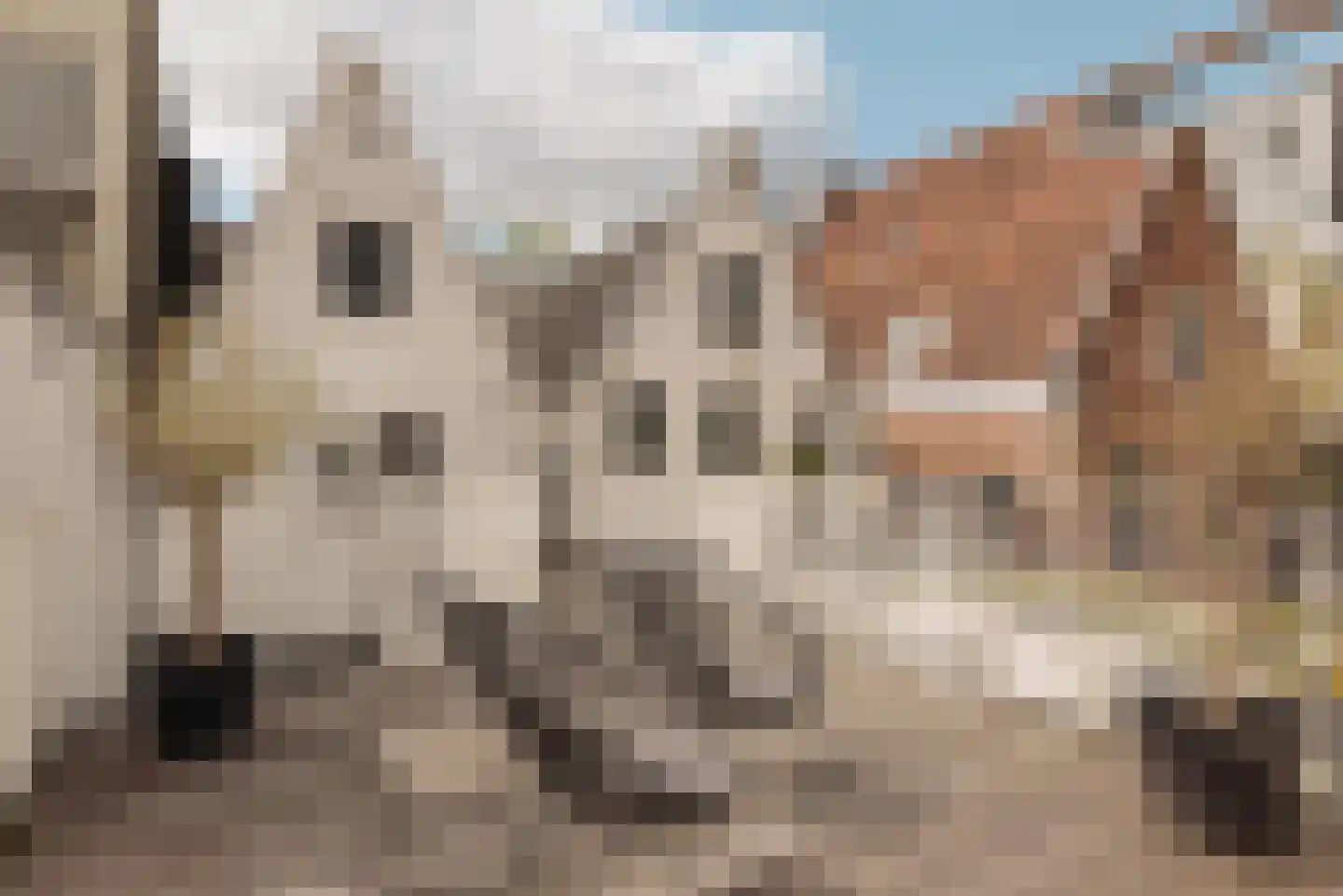 Brouwersgracht 96 1 Amsterdam thumbnail 28