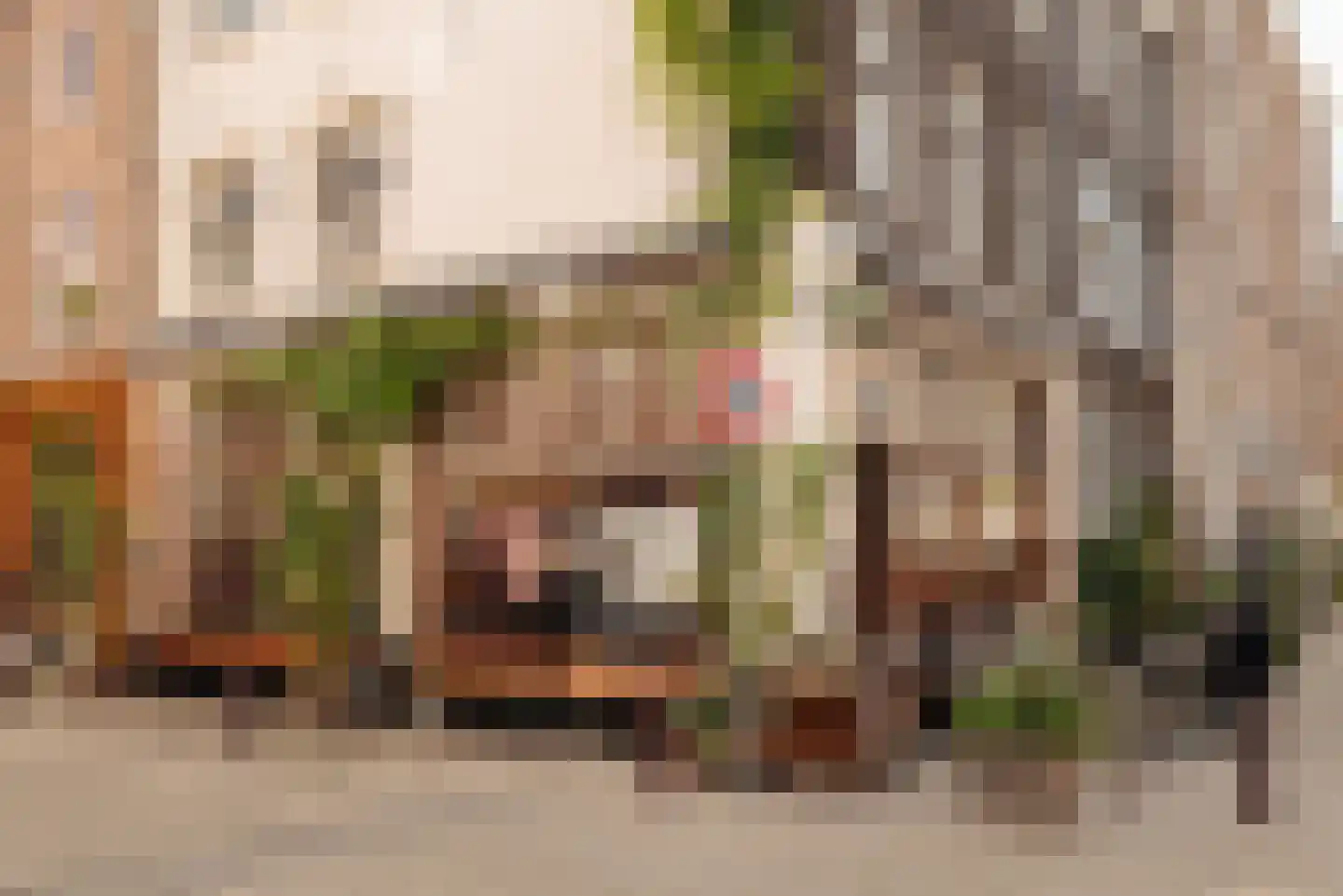 Brouwersgracht 96 1 Amsterdam thumbnail 39