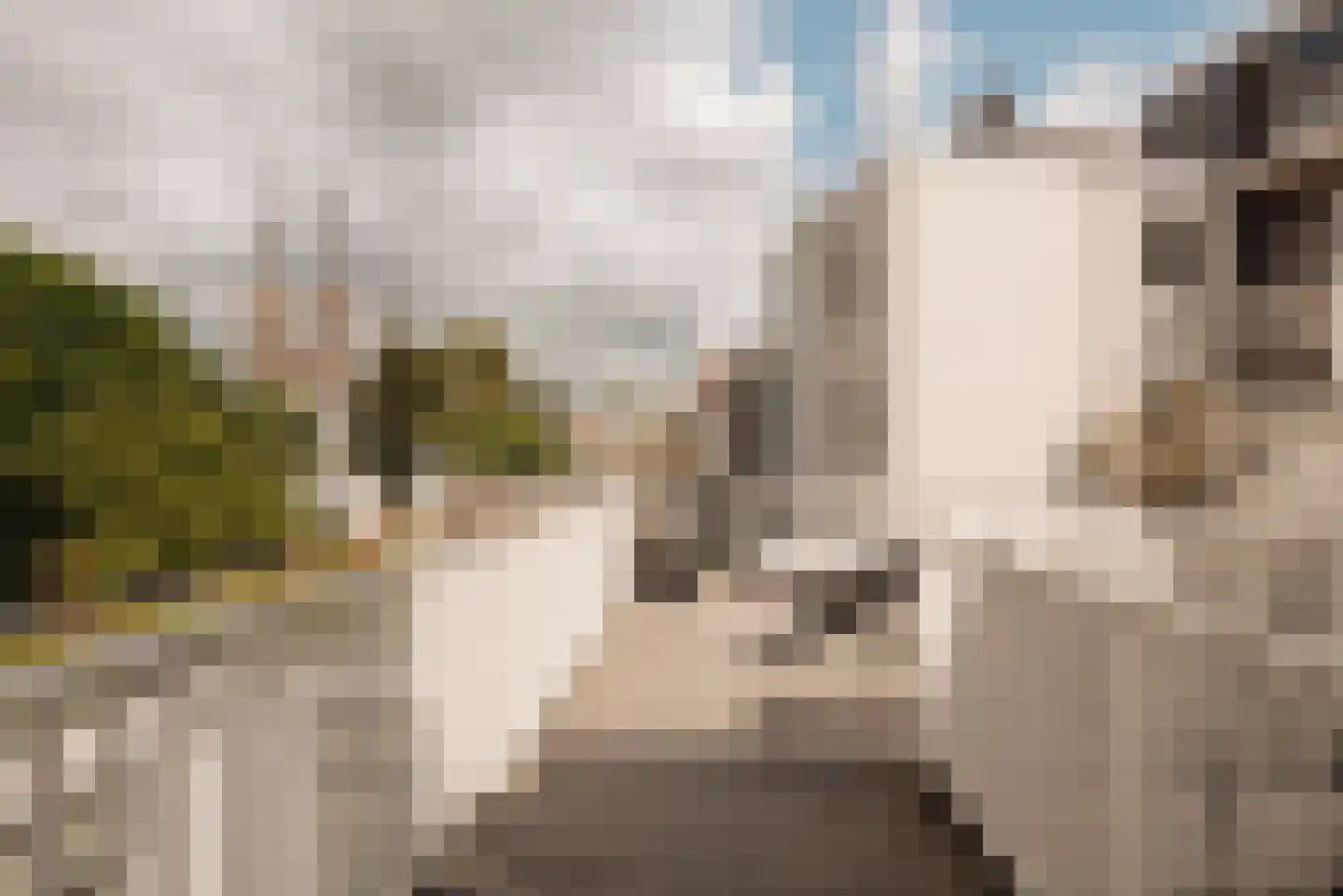 Brouwersgracht 96 1 Amsterdam thumbnail 4