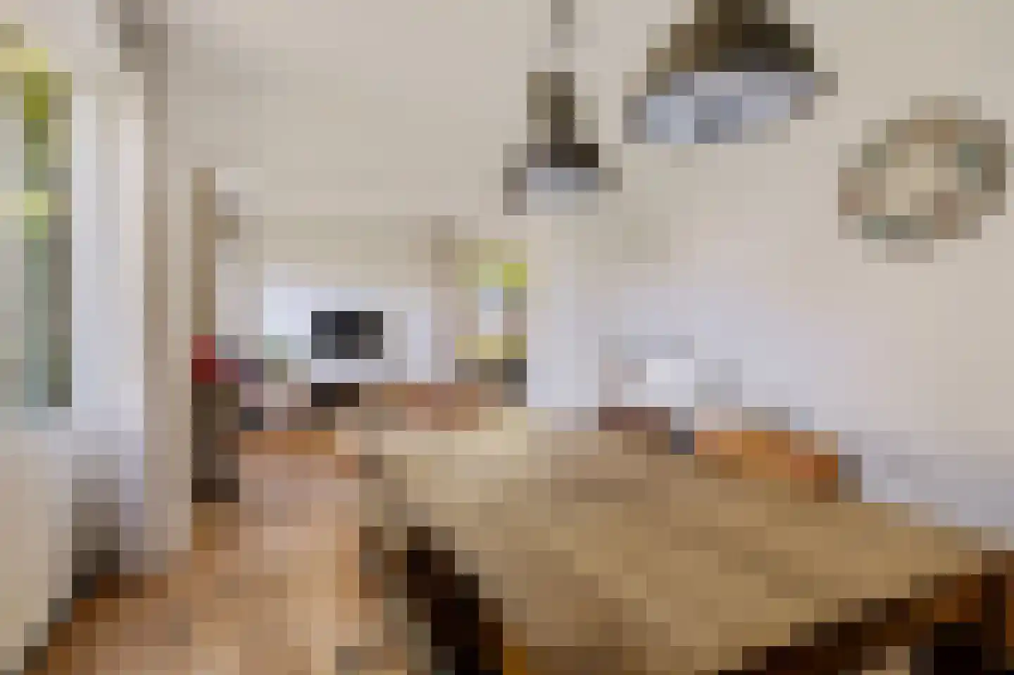 Brouwersgrêft 22 Rottevalle thumbnail 12