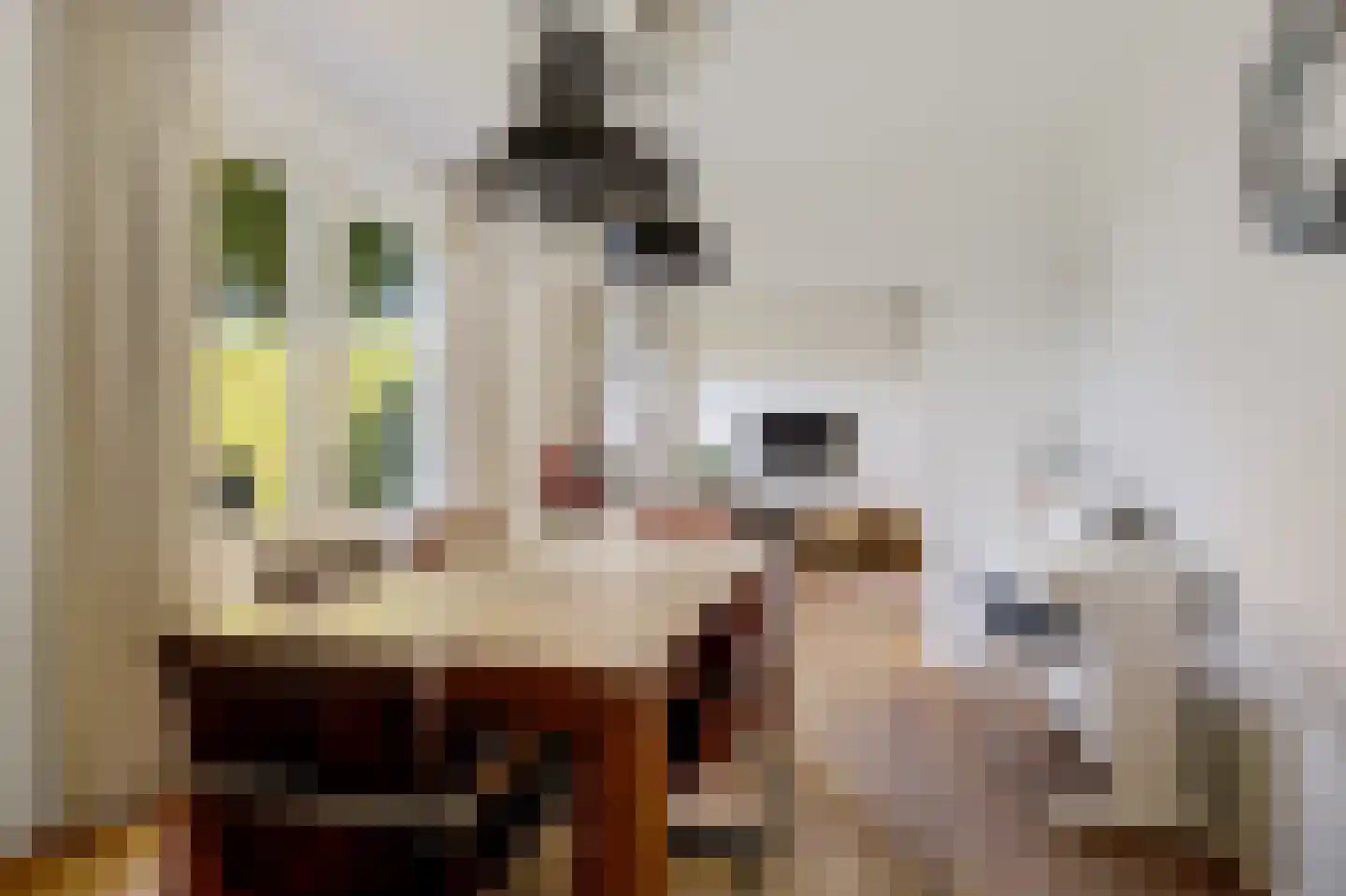 Brouwersgrêft 22 Rottevalle thumbnail 13