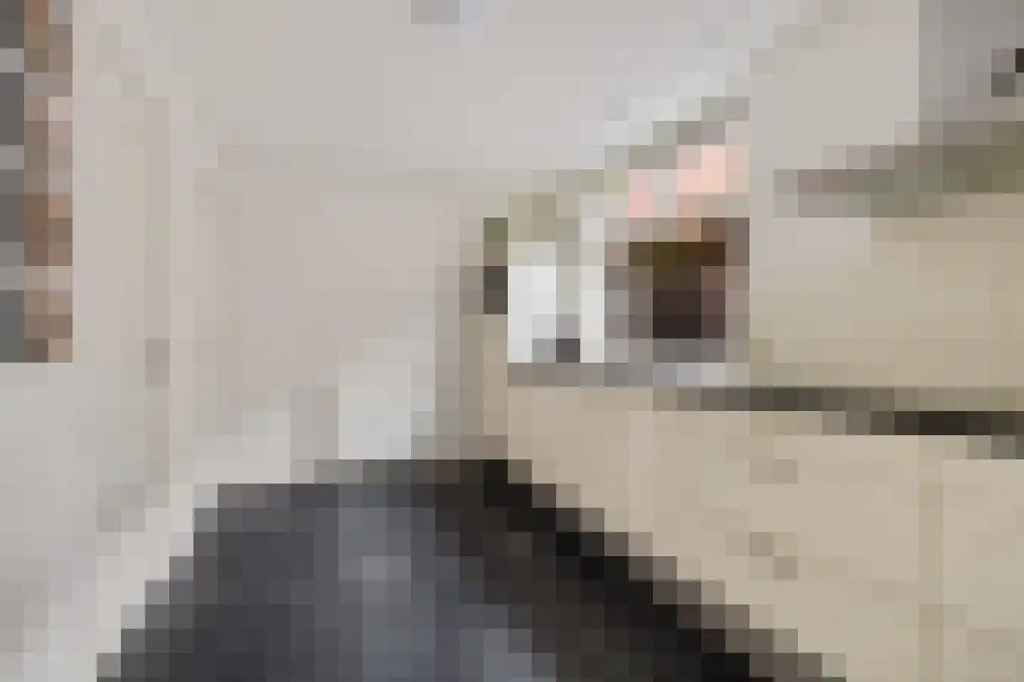 Brouwersgrêft 22 Rottevalle thumbnail 14