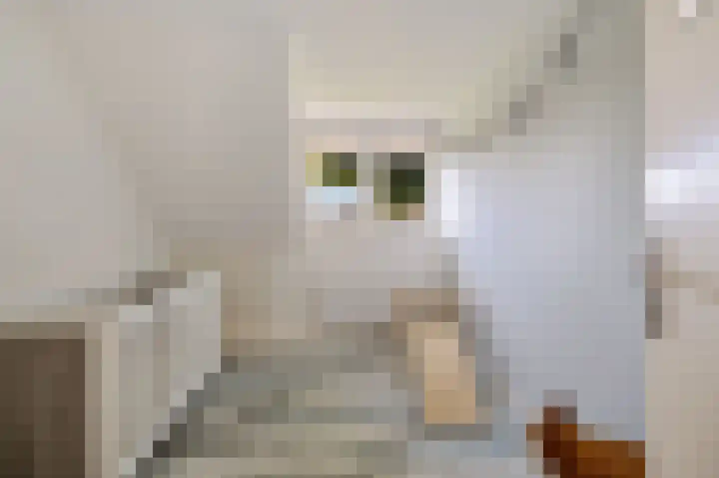 Brouwersgrêft 22 Rottevalle thumbnail 21