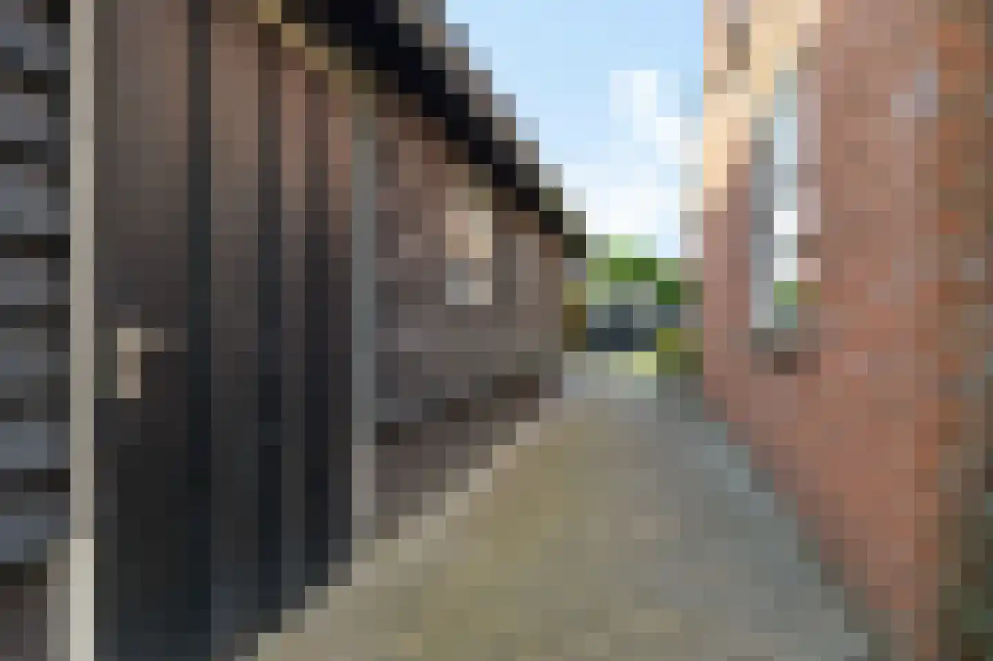 Brouwersgrêft 22 Rottevalle thumbnail 28