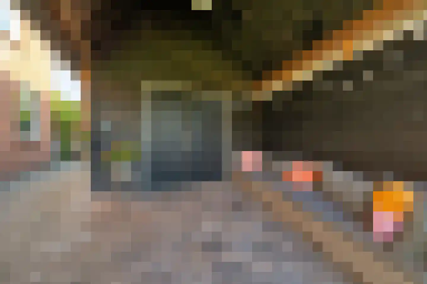 Brouwersgrêft 22 Rottevalle thumbnail 31