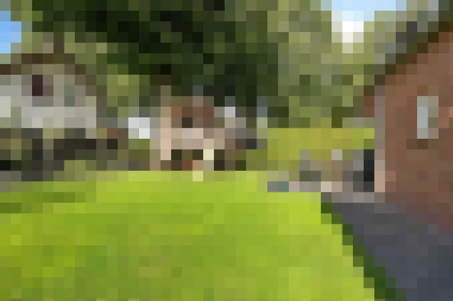 Brouwersgrêft 22 Rottevalle thumbnail 35