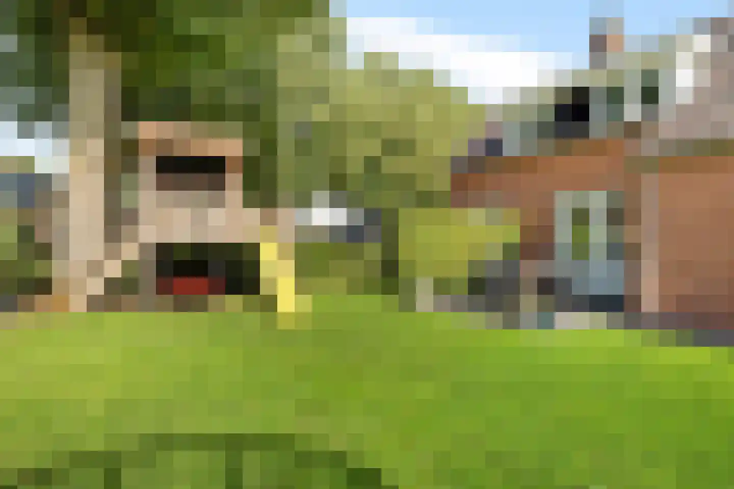 Brouwersgrêft 22 Rottevalle thumbnail 36