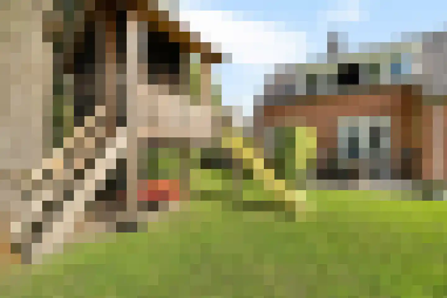 Brouwersgrêft 22 Rottevalle thumbnail 38