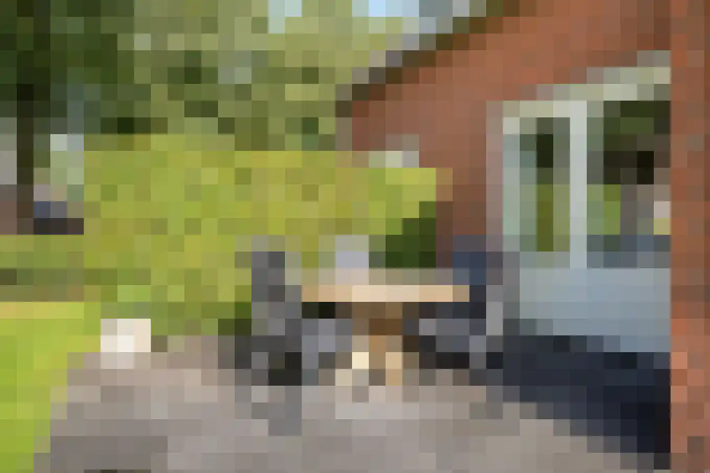 Brouwersgrêft 22 Rottevalle thumbnail 39