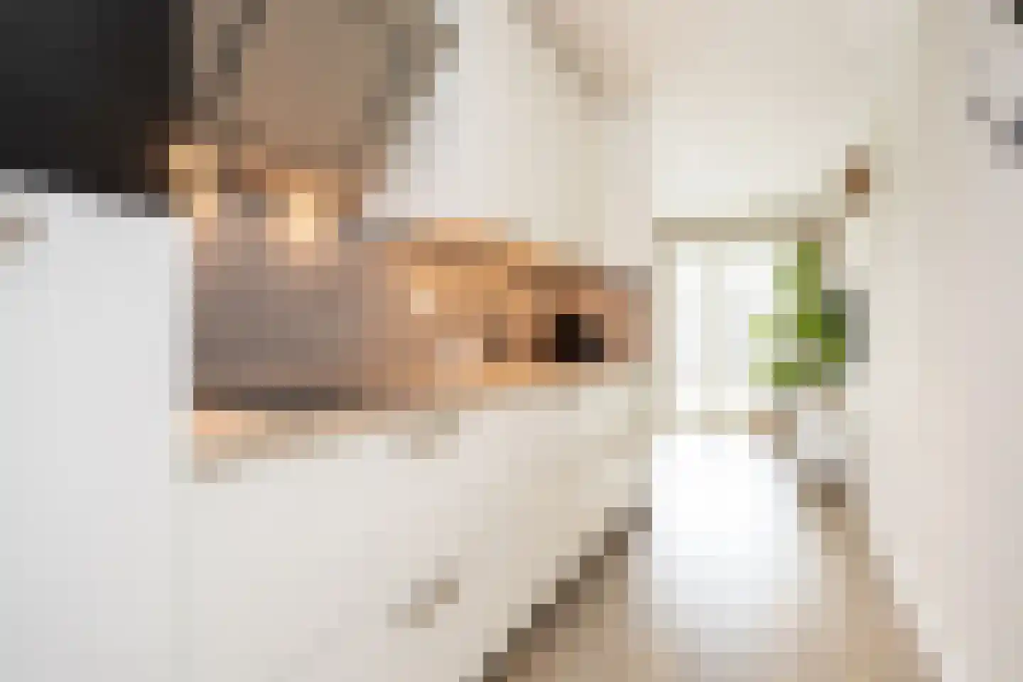 Brouwershavenstraat 37 Berkel en Rodenrijs thumbnail 12