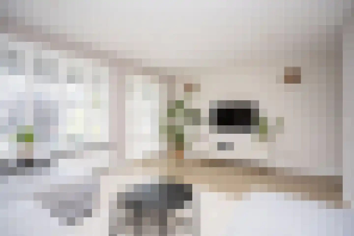 Brouwershavenstraat 37 Berkel en Rodenrijs thumbnail 19