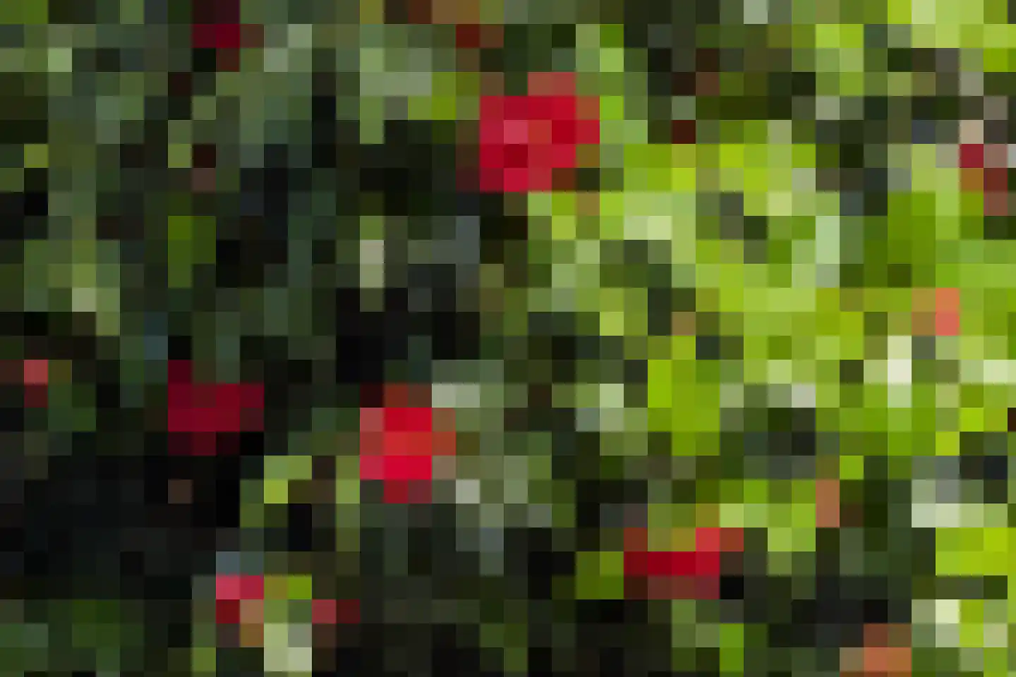 Brouwershavenstraat 8 Tilburg thumbnail 30