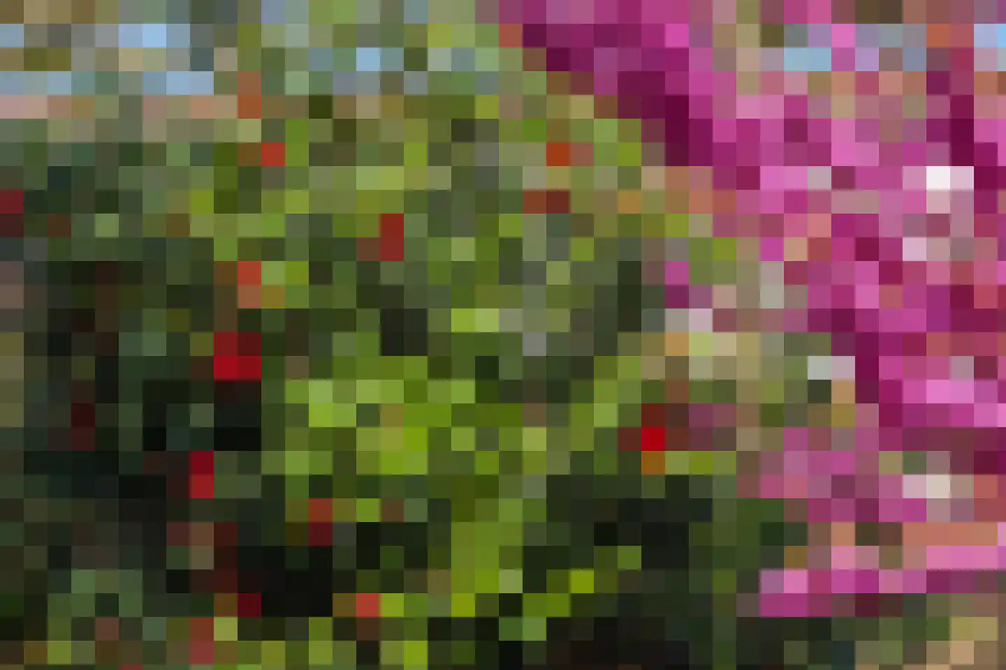 Brouwershavenstraat 8 Tilburg thumbnail 38