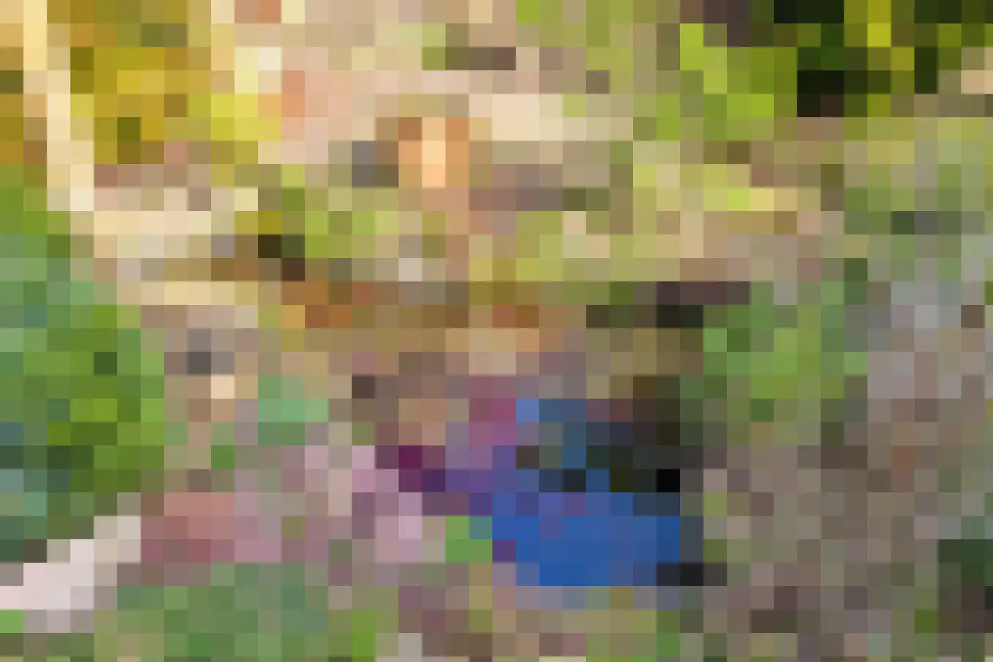 Brouwershavenstraat 8 Tilburg thumbnail 39