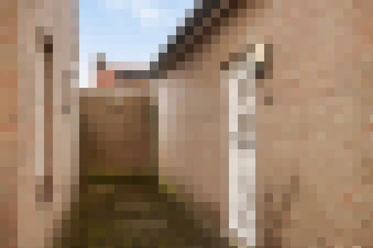 Brouwershavenstraat 8 Tilburg thumbnail 5