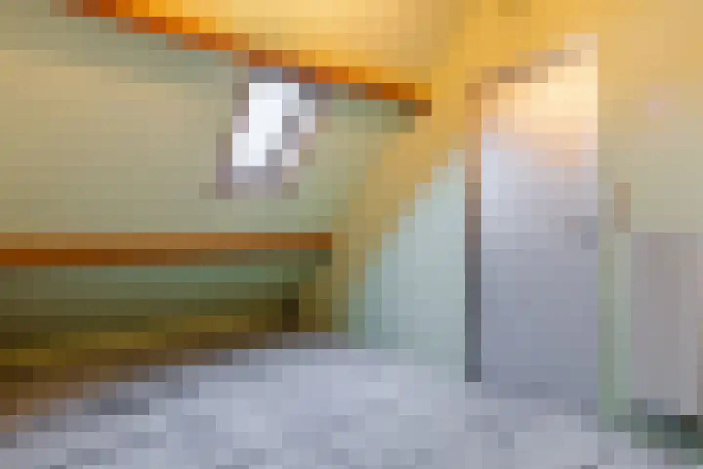 Brouwershei 11 Veldhoven thumbnail 31