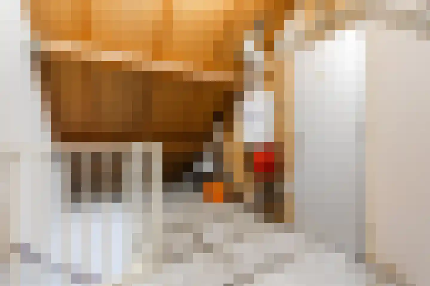 Brouwershei 11 Veldhoven thumbnail 33