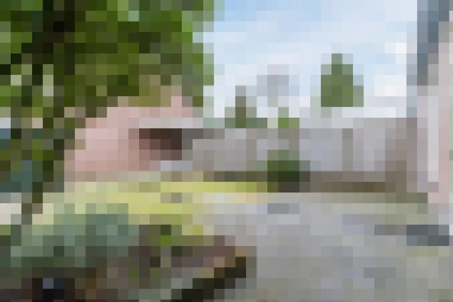 Brouwershei 11 Veldhoven thumbnail 36