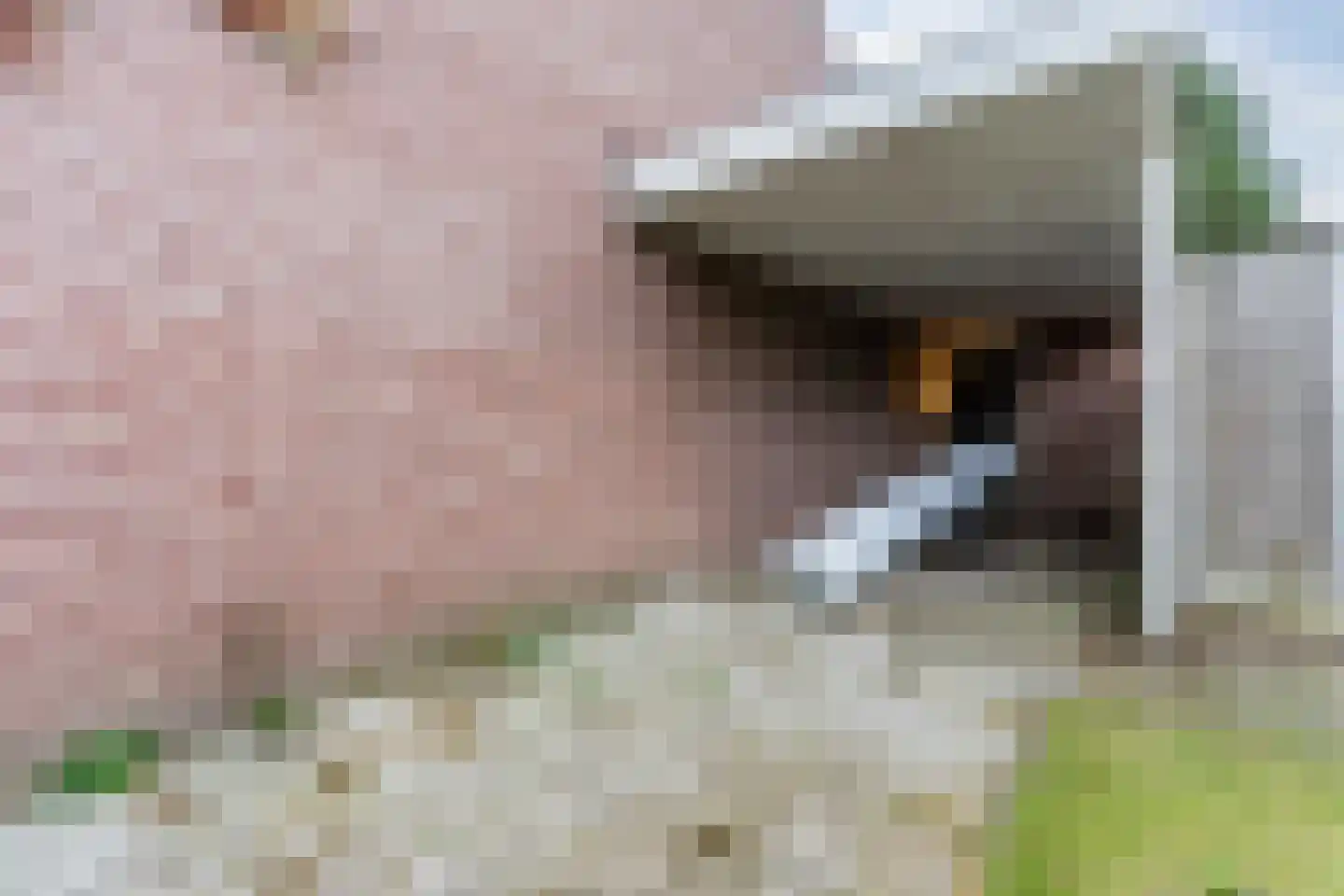 Brouwershei 11 Veldhoven thumbnail 39