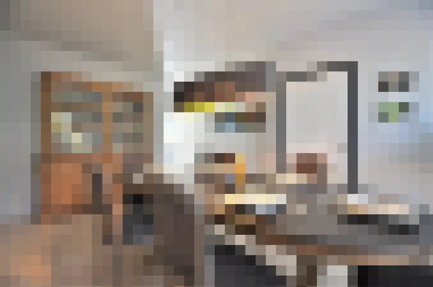 Brouwershei 44 Veldhoven thumbnail 12