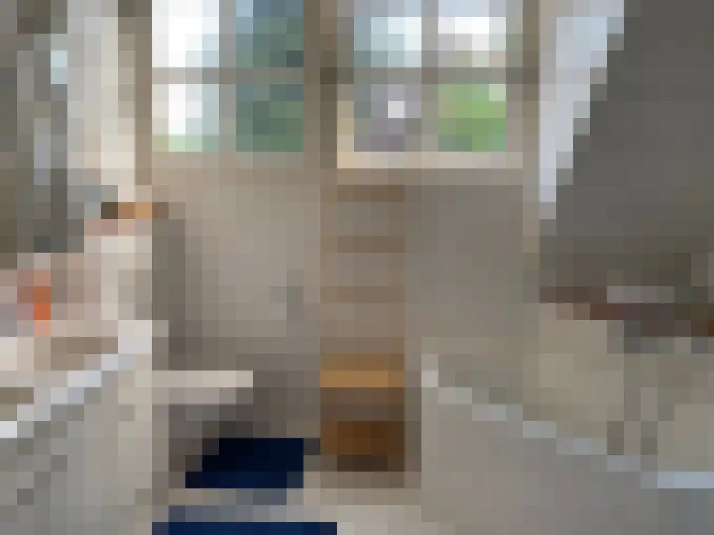 Brouwershei 44 Veldhoven thumbnail 29