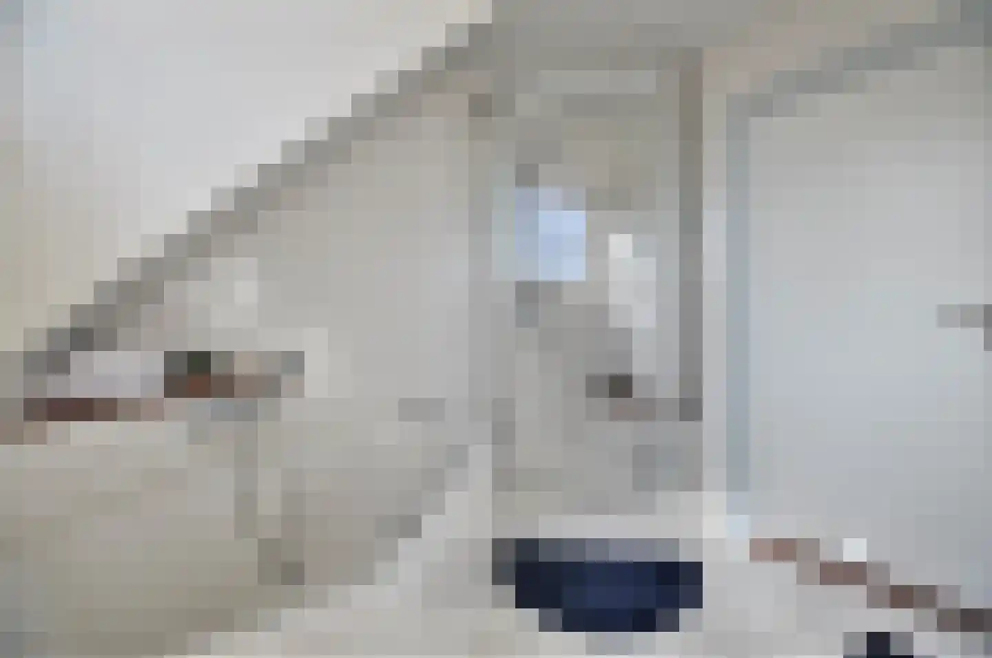 Brouwershei 44 Veldhoven thumbnail 30