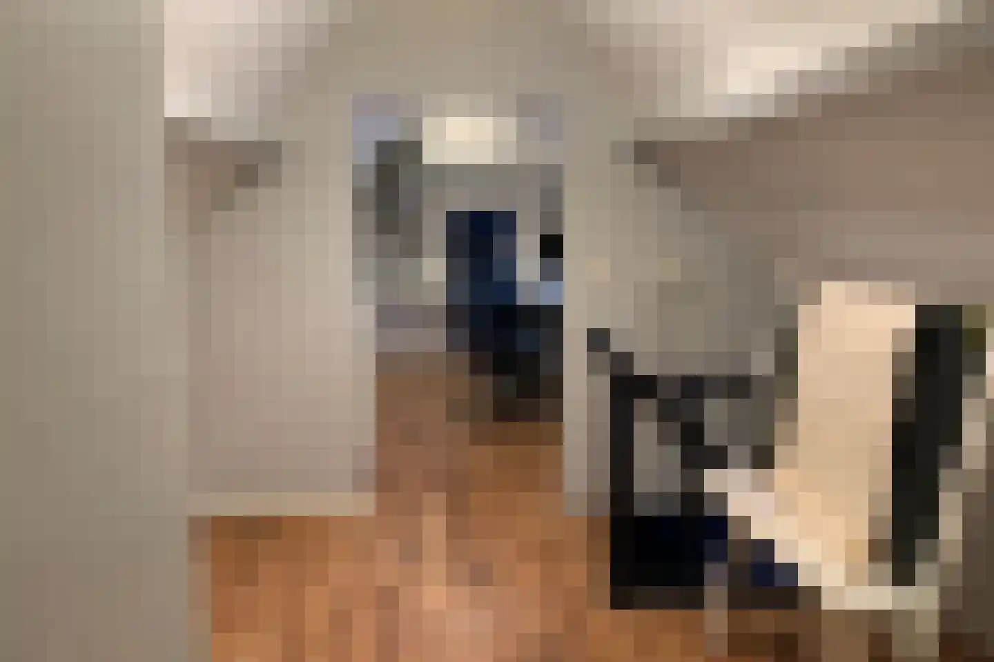 Brouwershei 44 Veldhoven thumbnail 32