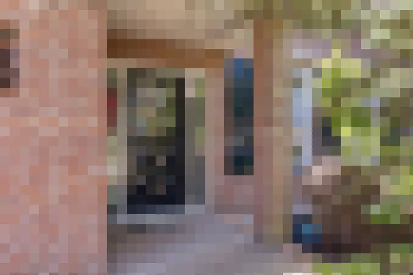Brouwershei 44 Veldhoven thumbnail 37