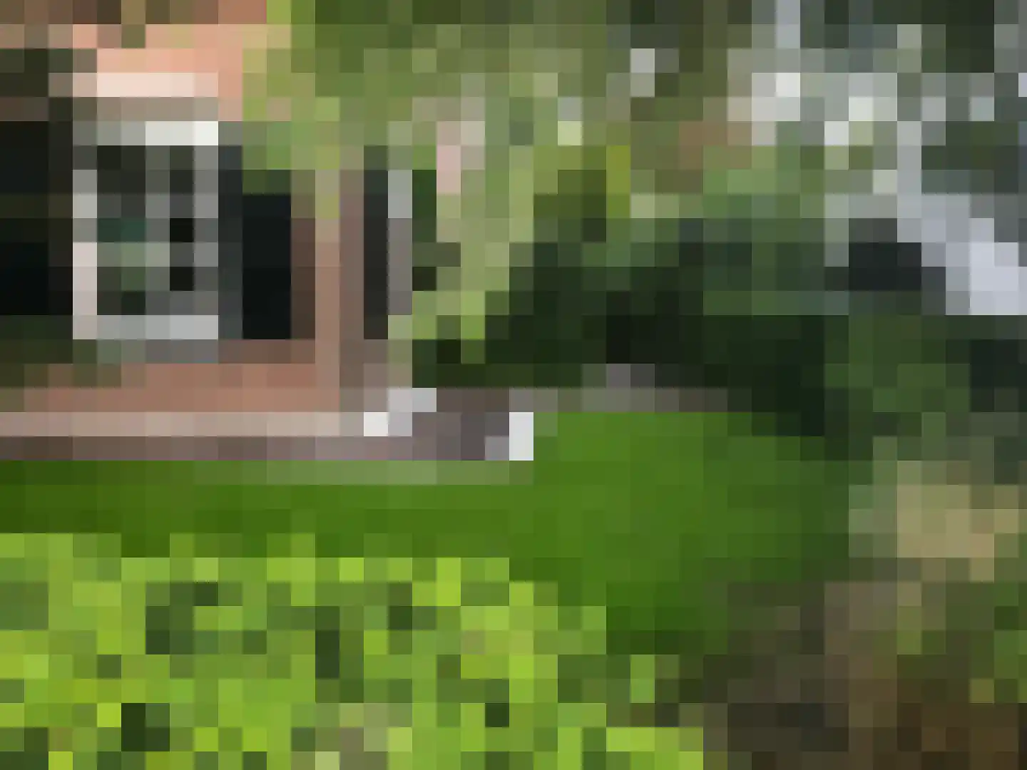 Brouwershei 44 Veldhoven thumbnail 38