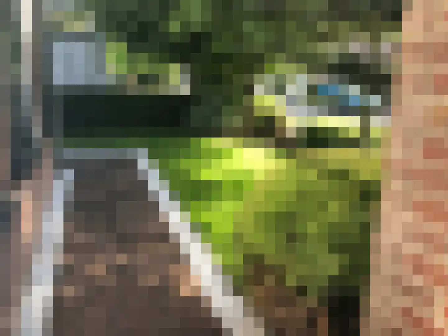Brouwershei 44 Veldhoven thumbnail 39
