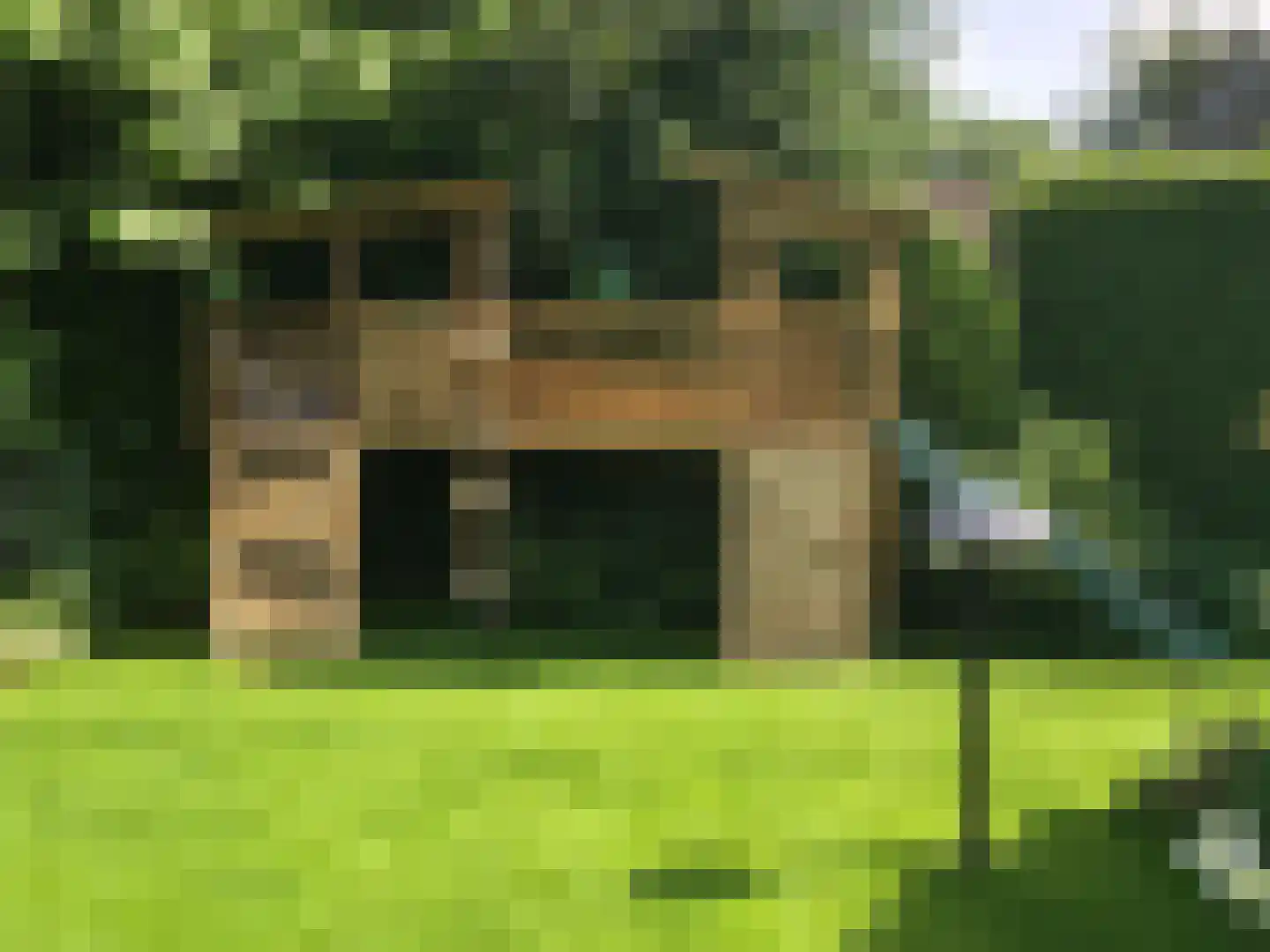 Brouwershei 44 Veldhoven thumbnail 42