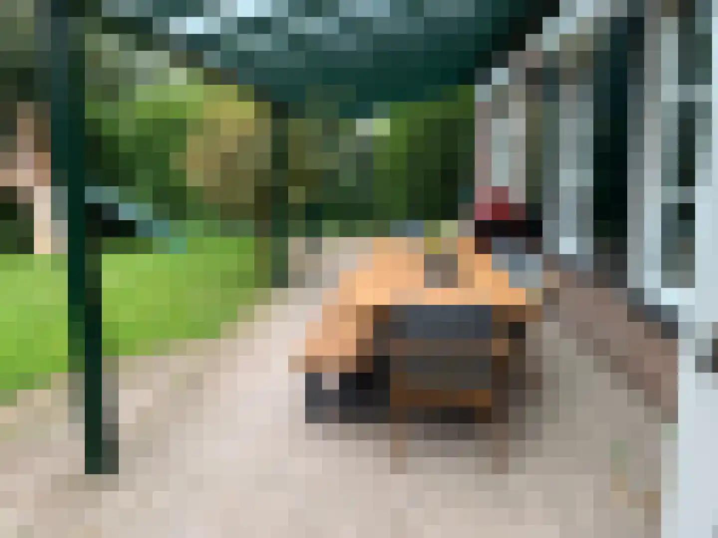Brouwershei 44 Veldhoven thumbnail 44