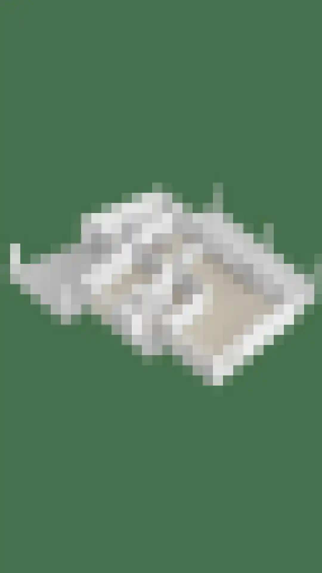 Brouwershei 44 Veldhoven thumbnail 48