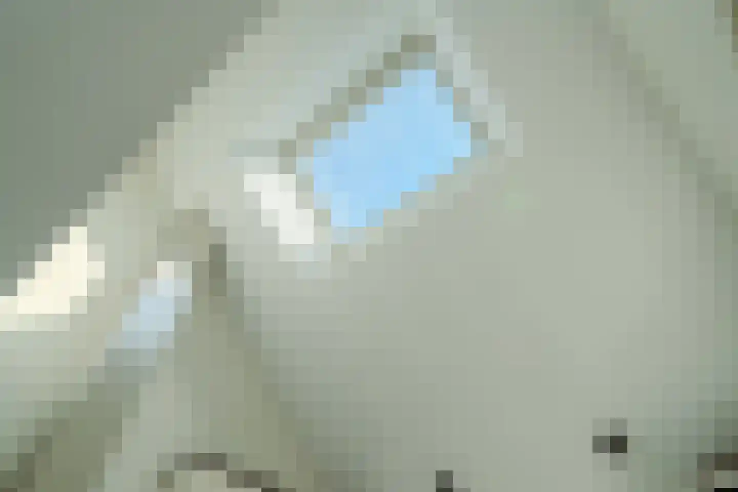 Brouwershei 48 Veldhoven thumbnail 21