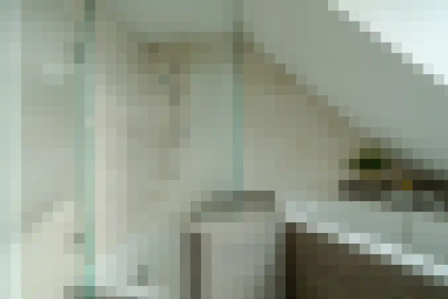 Brouwershei 48 Veldhoven thumbnail 34
