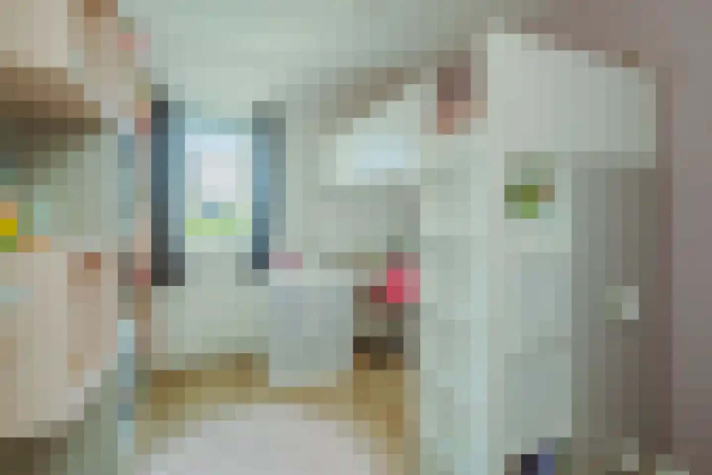 Brouwershei 48 Veldhoven thumbnail 38