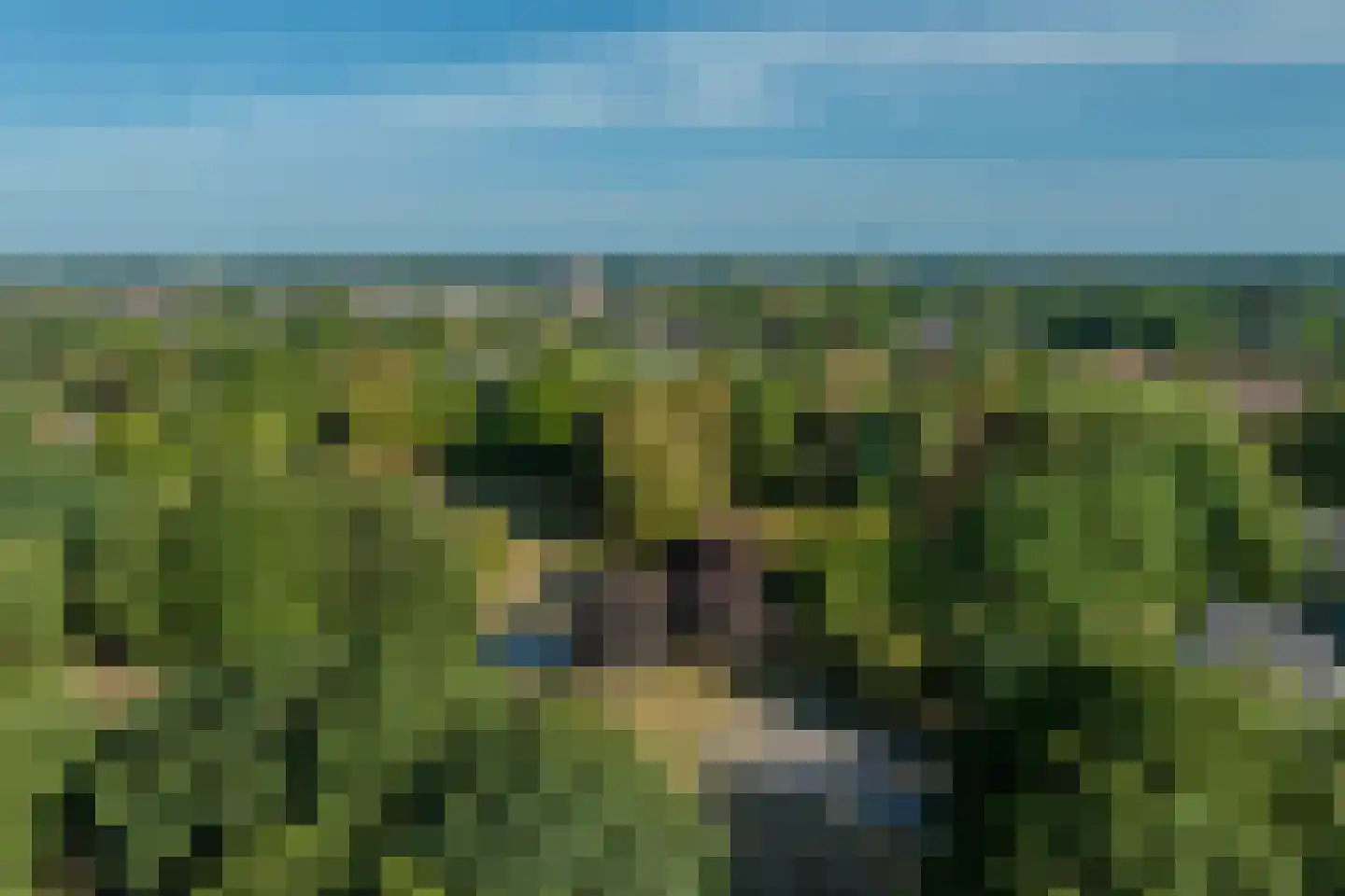 Brouwershei 48 Veldhoven thumbnail 44