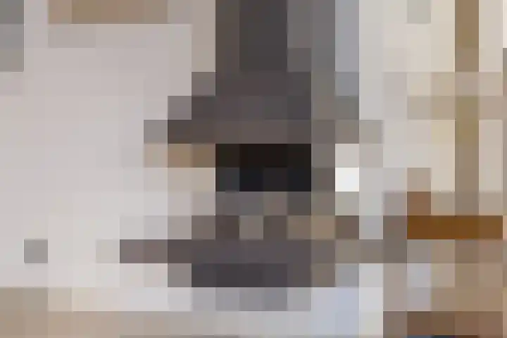 Brouwershei 8 Veldhoven thumbnail 10