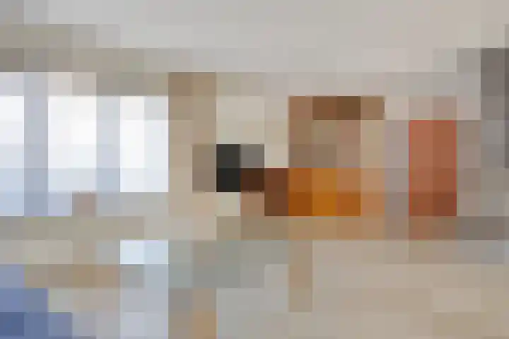 Brouwershei 8 Veldhoven thumbnail 11