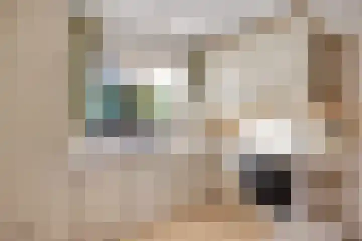 Brouwershei 8 Veldhoven thumbnail 17