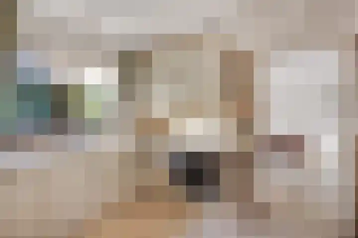 Brouwershei 8 Veldhoven thumbnail 19