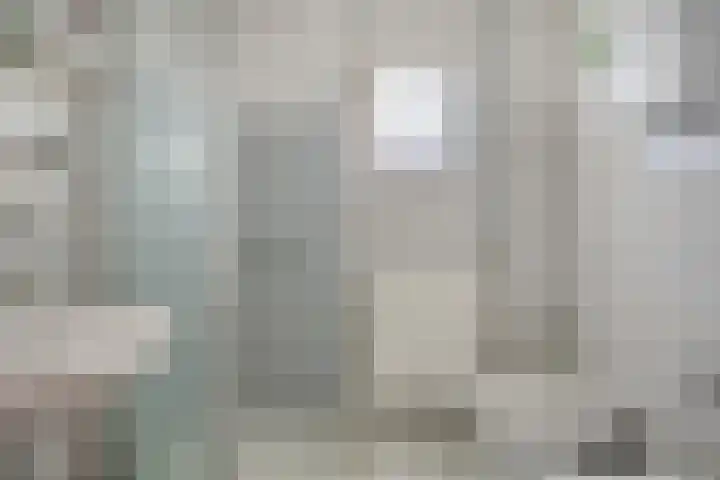 Brouwershei 8 Veldhoven thumbnail 23