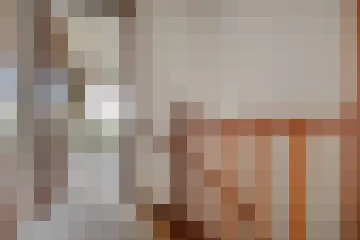 Brouwershei 8 Veldhoven thumbnail 25